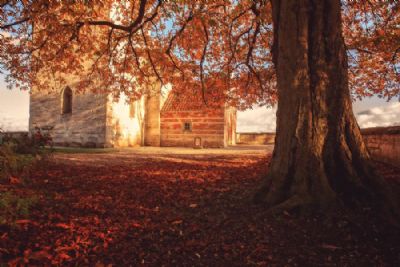 Hjerup gl. kirke II Stevns klint unesco